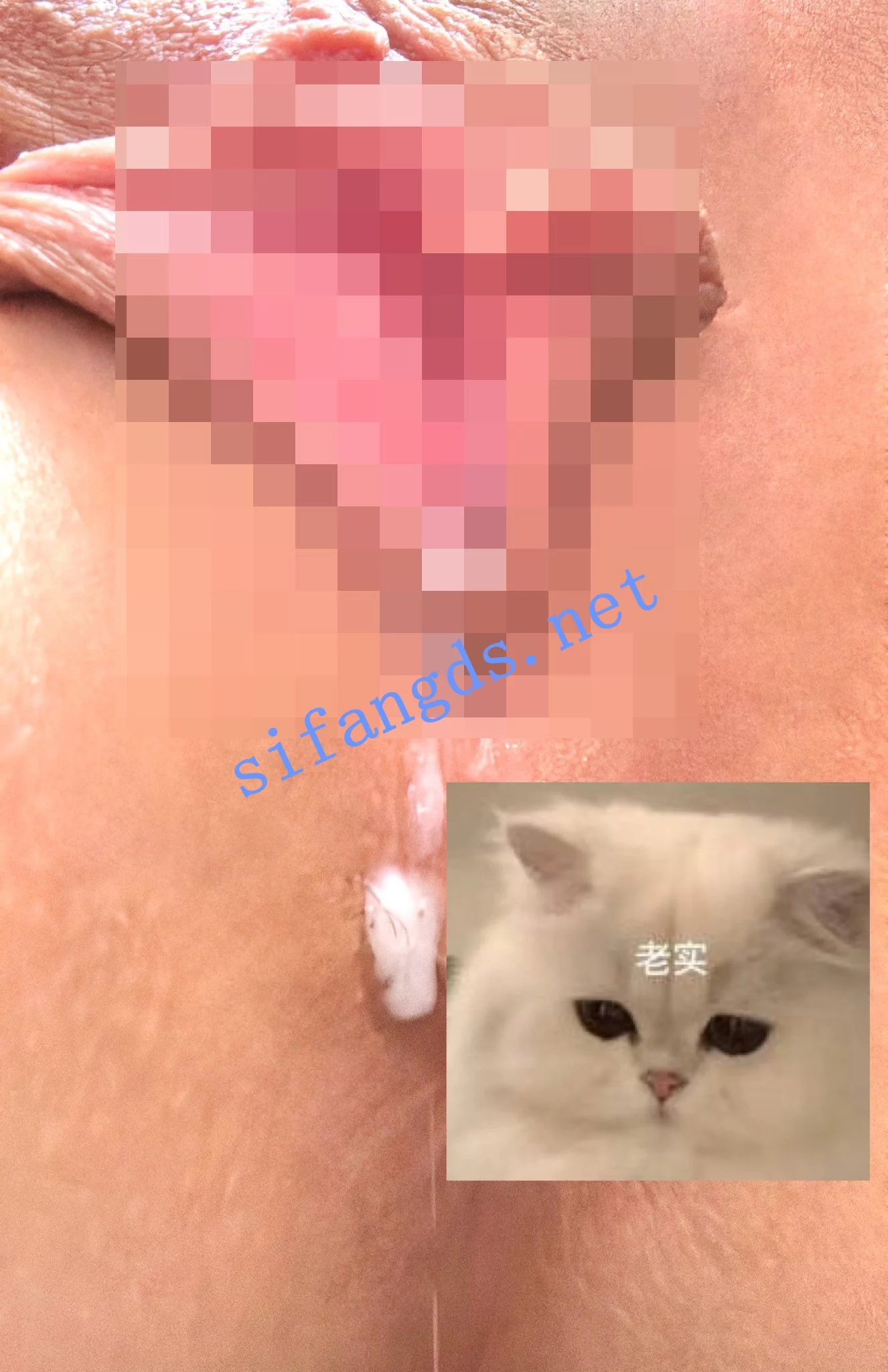推特白虎粉穴 19岁反差福利姬阳漾 ❤️订阅福利合集 图 19