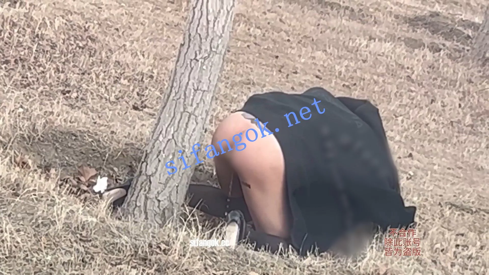 微博推特网红 唐唐/奶凶大人 极美身材疯狂啪啪福利-3 图 13